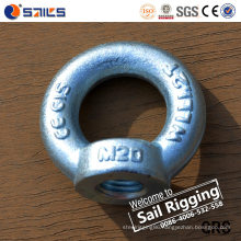 Carbon Steel Lifting Forged Galvanizing DIN582 Eye Nut